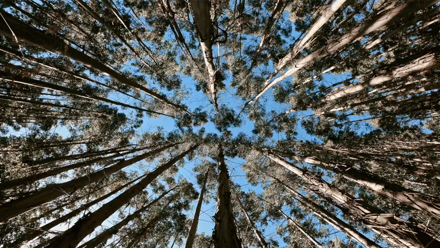 Órgano Gobierno de Navarra