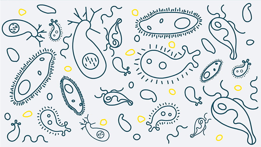 Frame de la animación para Unifikas