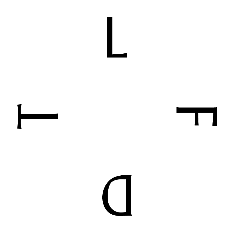 Logo Las Flores del Tiempo